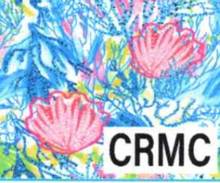 Load image into Gallery viewer, LuluB Pull On Skort with Side Zip at the Leg. Fabric contains SPF 50+ and a Coolant.