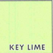 Load image into Gallery viewer, LuluB Sleeveless V-Neck Swing Top with UPF 50+ and Coolant in Fabric