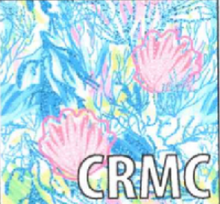 Load image into Gallery viewer, LuLu B 3/4 Sleeve V-Neck Shirt with SPF50 Sun protection and Coolant in Fabric