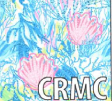 Load image into Gallery viewer, LuluB Fun Skort with Coolant in Fabric and UPF 50+