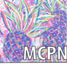 Load image into Gallery viewer, LuluB Quarter Zip Front Pull Over Top with Long Sleeves, UPF 50+ and Coolant in Fabric